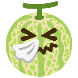 melon and sneezing face