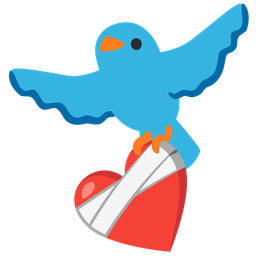 mending heart and bird