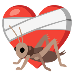 mending heart and cricket