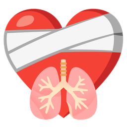 mending heart and lungs