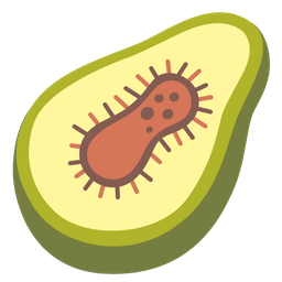 microbe and avocado