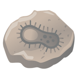 microbe and rock