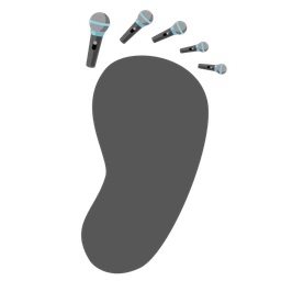 microphone and footprints
