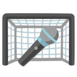 Microphone and Goal net