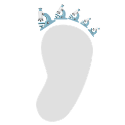 microscope and footprints