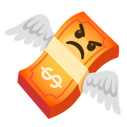 money with wings and enraged face