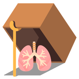 mouse trap and lungs