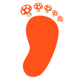 mushroom and footprints