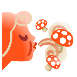 mushroom and wind face