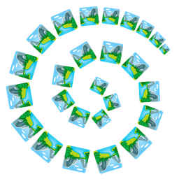 National park and Cyclone