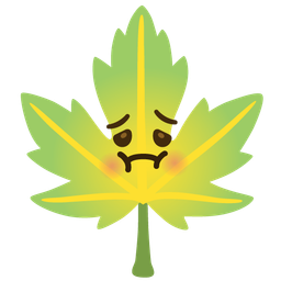 nauseated face and maple leaf