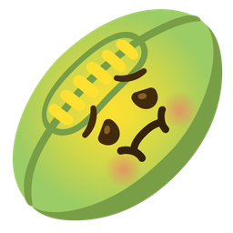 nauseated face and rugby football