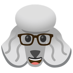 Nerd face and Poodle