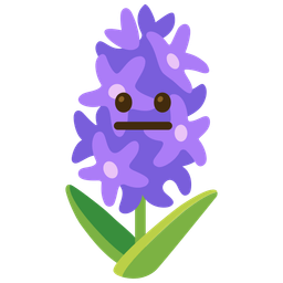 neutral face and hyacinth