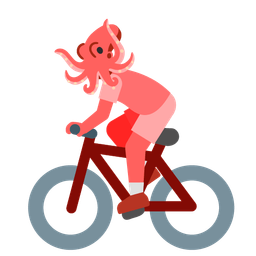octopus and bicycle