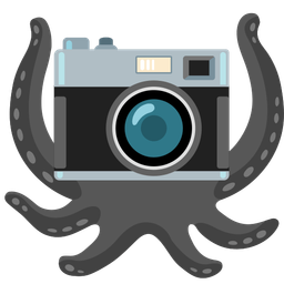 octopus and camera