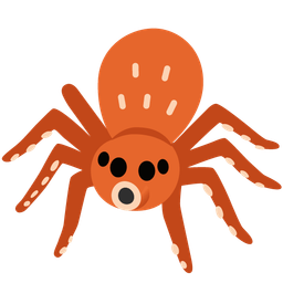 octopus and spider