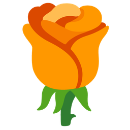 orange heart and rose