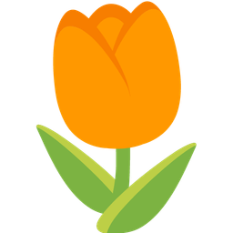 orange heart and tulip