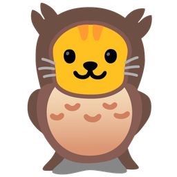 owl and cat face