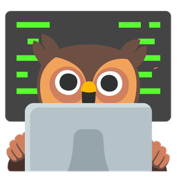 owl and laptop