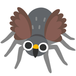 owl and spider