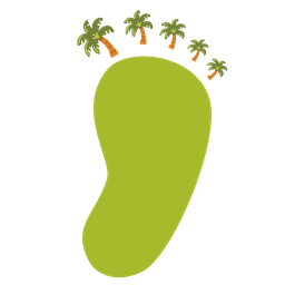 palm tree and footprints