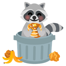 pancakes and raccoon