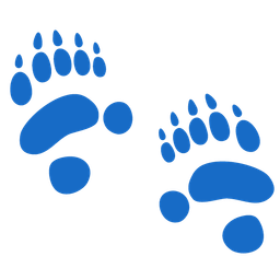 panda and footprints