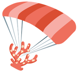 parachute and coral