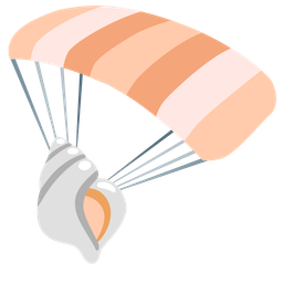 parachute and spiral shell