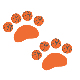 paw prints and basketball