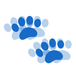 paw prints and beating heart