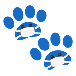paw prints and face with medical mask