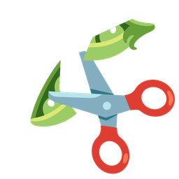 pea pod and scissors