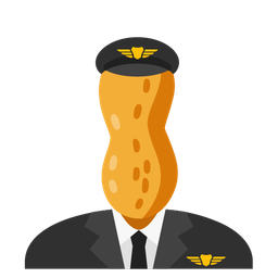 Peanuts and Airplane