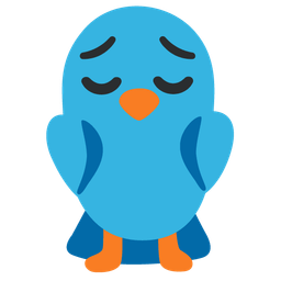 pensive face and bird