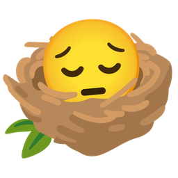 pensive face and empty nest