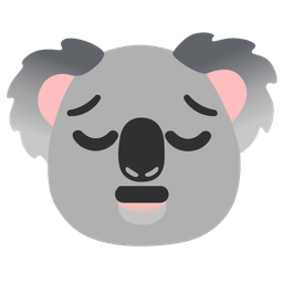 pensive face and koala