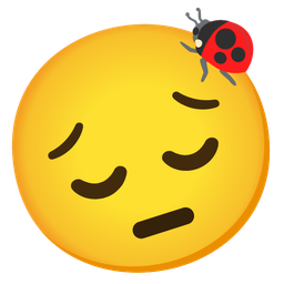 pensive face and lady beetle