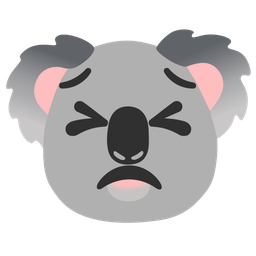 persevering face and koala