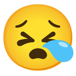 persevering face and sleepy face