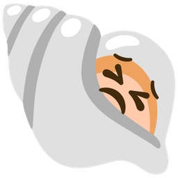 persevering face and spiral shell