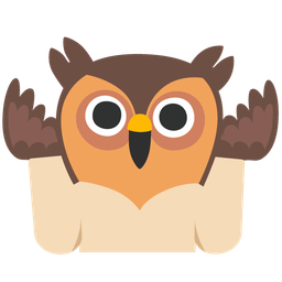 person shrugging and owl