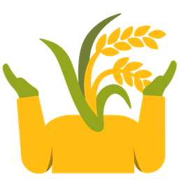 person shrugging and sheaf of rice