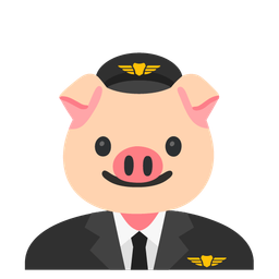 Pig face and Airplane