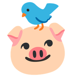 Pig face and Bird