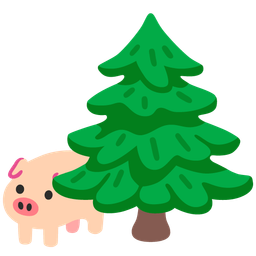 Pig face and Evergreen tree