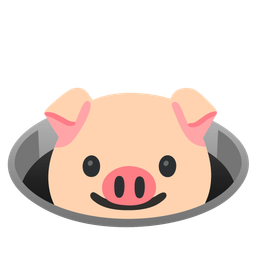 Pig face and Hole