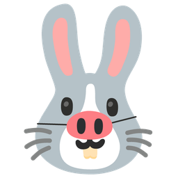 Pig face and Rabbit face